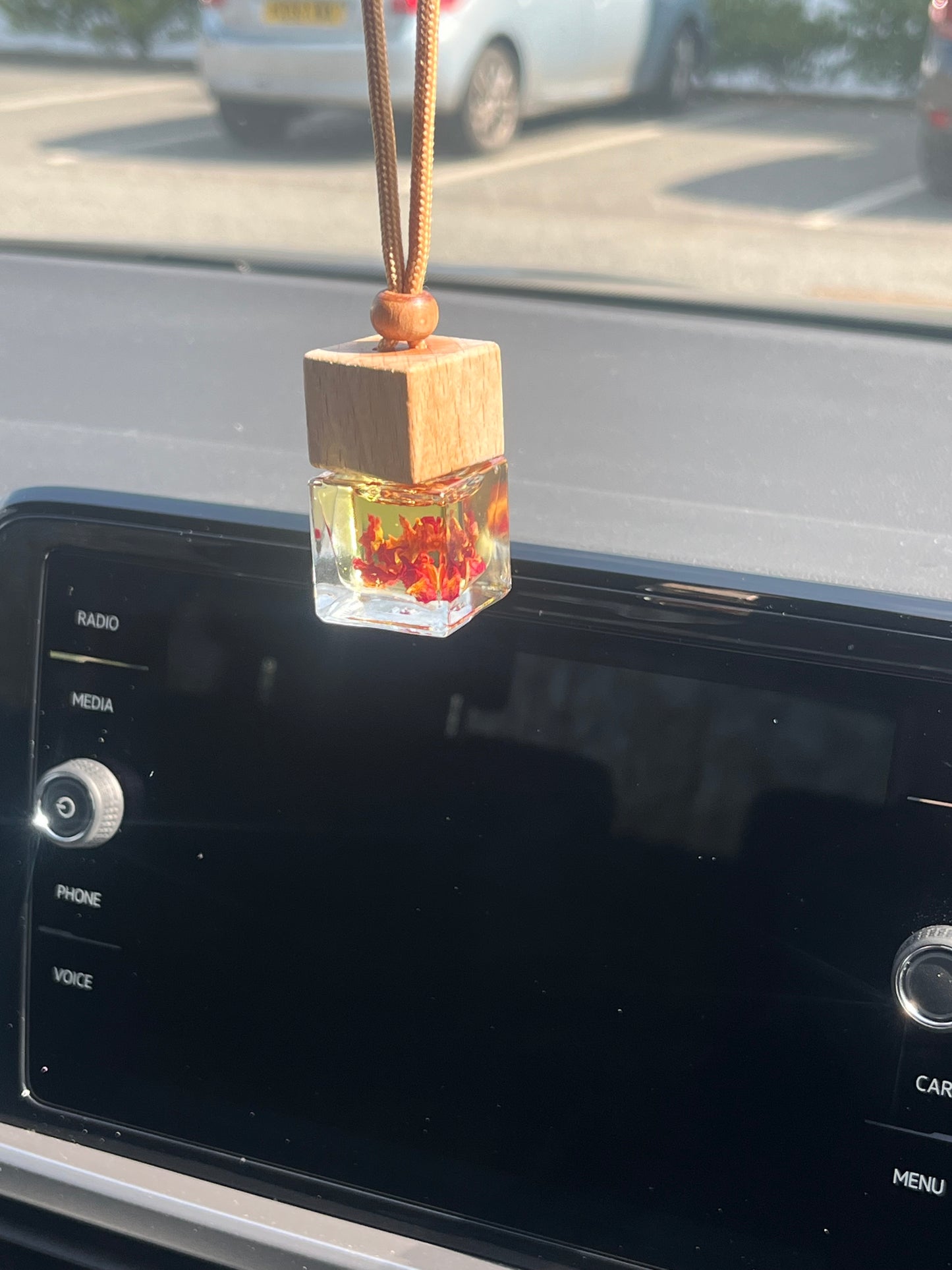 Botanical Car Diffuser